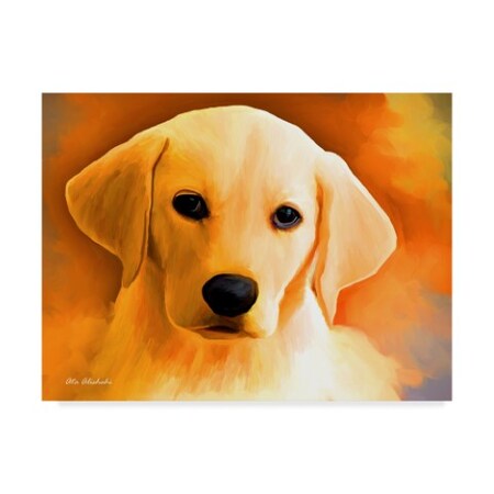 Ata Alishahi 'Puppy' Canvas Art,24x32